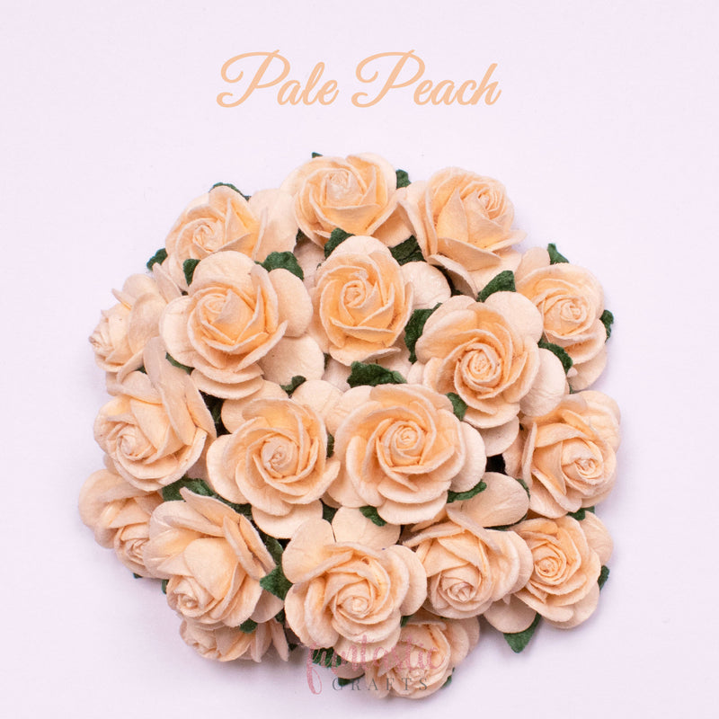 Pale Peach Mulberry Paper Flowers Open Roses