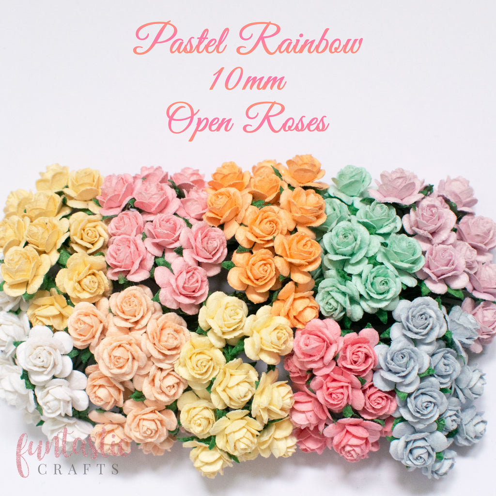 10mm Pastel Rainbow Pack Mulberry Paper Flowers Open Roses