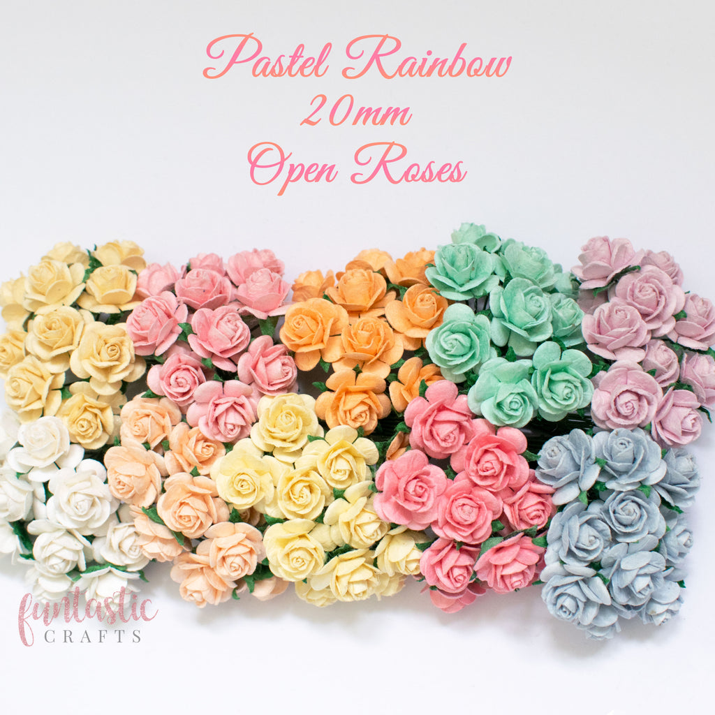 20mm Pastel Rainbow Pack Mulberry Paper Flowers Open Roses