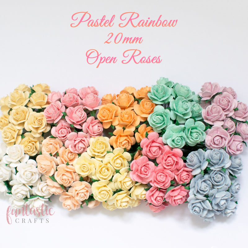 20mm Pastel Rainbow Pack Mulberry Paper Flowers Open Roses