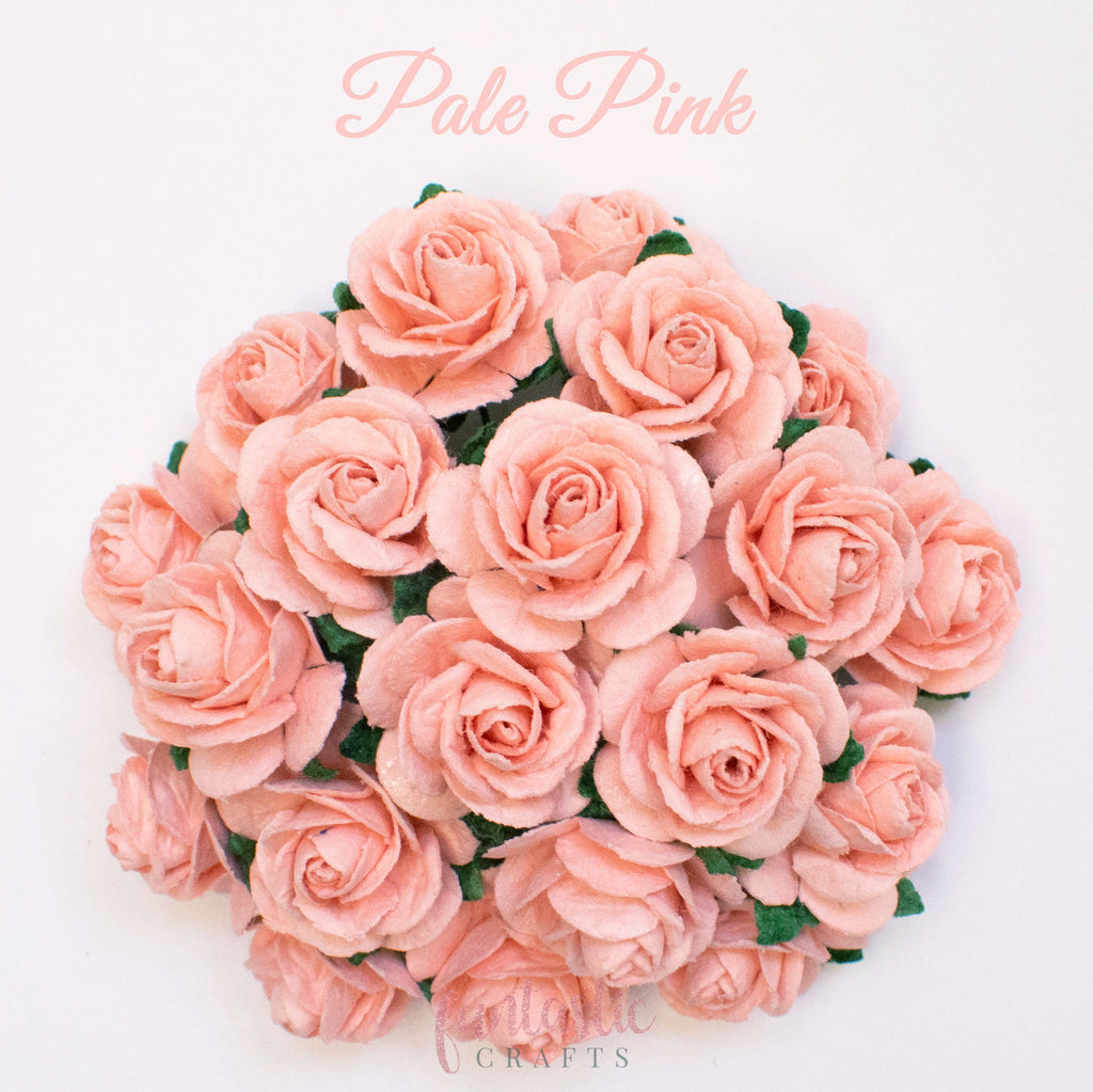 Pale Pink Mulberry Paper Flowers Open Roses