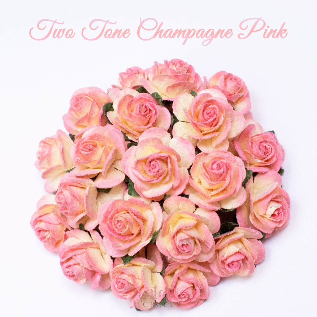 Two Tone Champagne Pink Mulberry Paper Flowers Open Roses