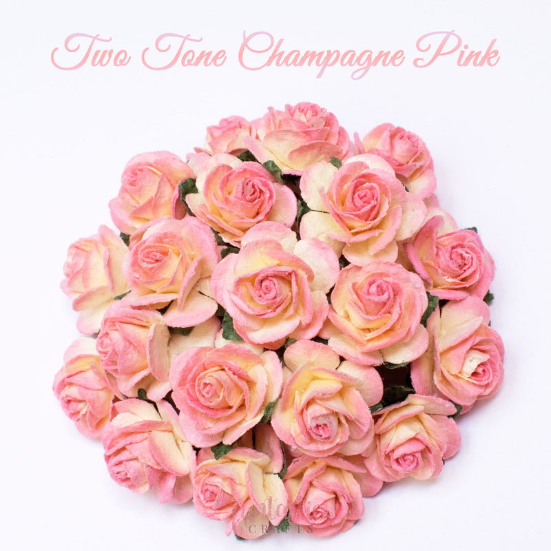 Two Tone Champagne Pink Mulberry Paper Flowers Open Roses